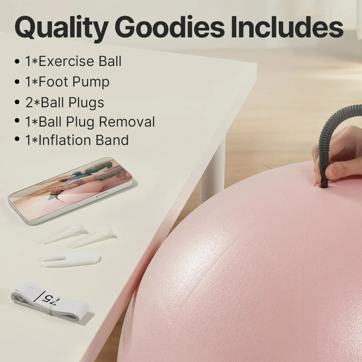 YOTTOY Anti-Burst Exercise Ball for Working Out, Yoga Ball for Pregnancy,Extra Thick Workout Ball for Physical Therapy,Stability Ball for Ball Chair Fitness with Pump…